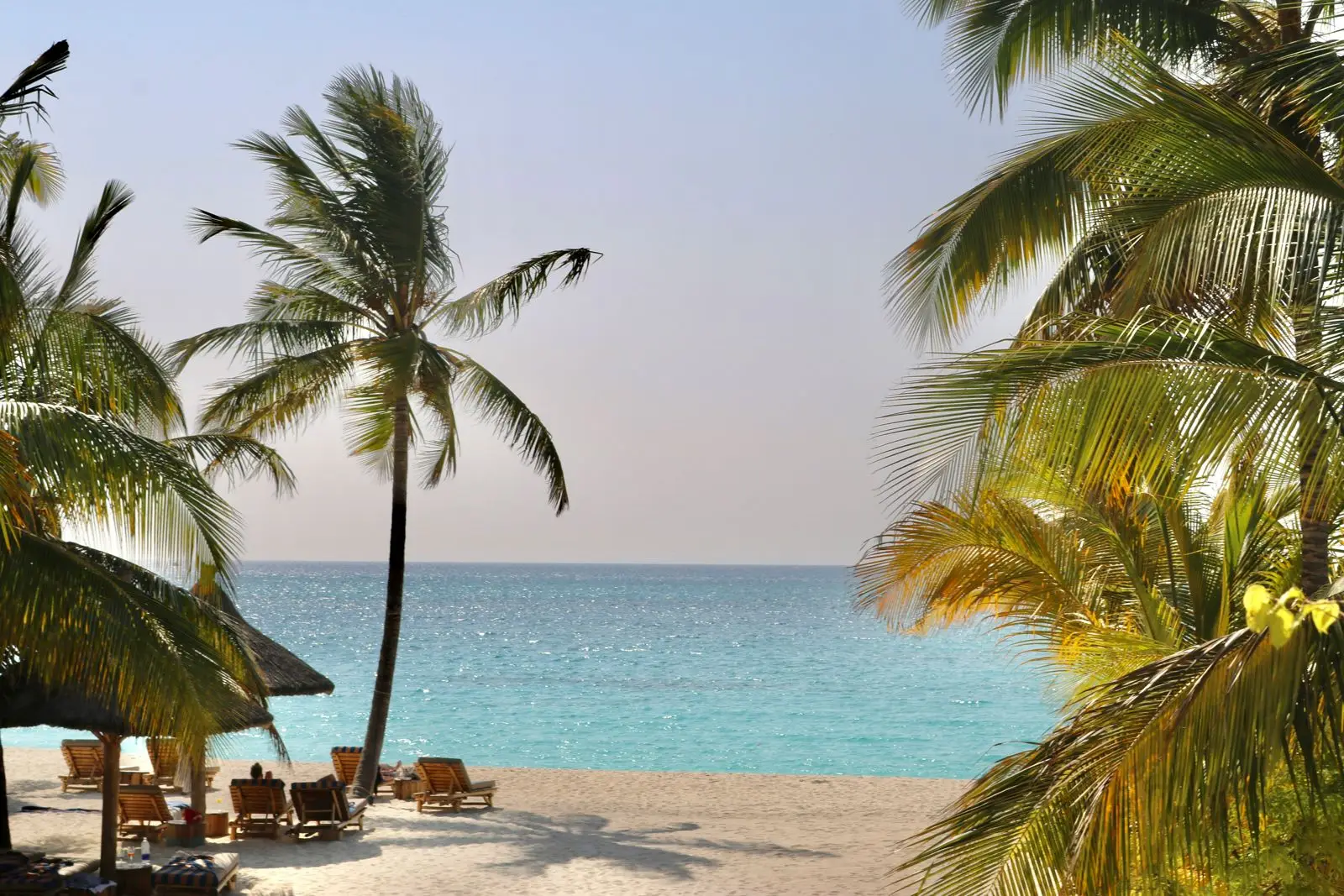 Tropical view at Swahili Coast Villas